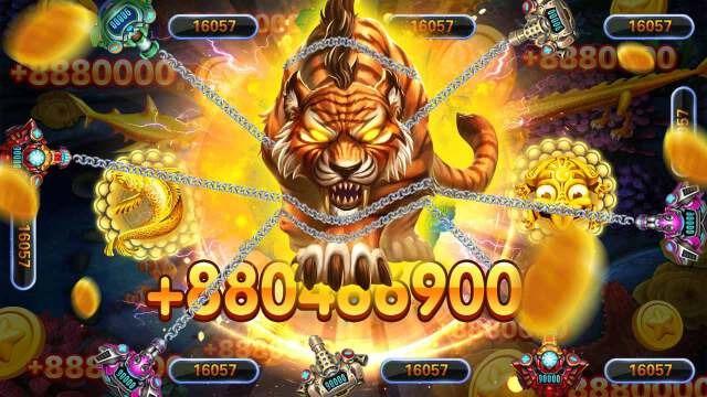 xs9988