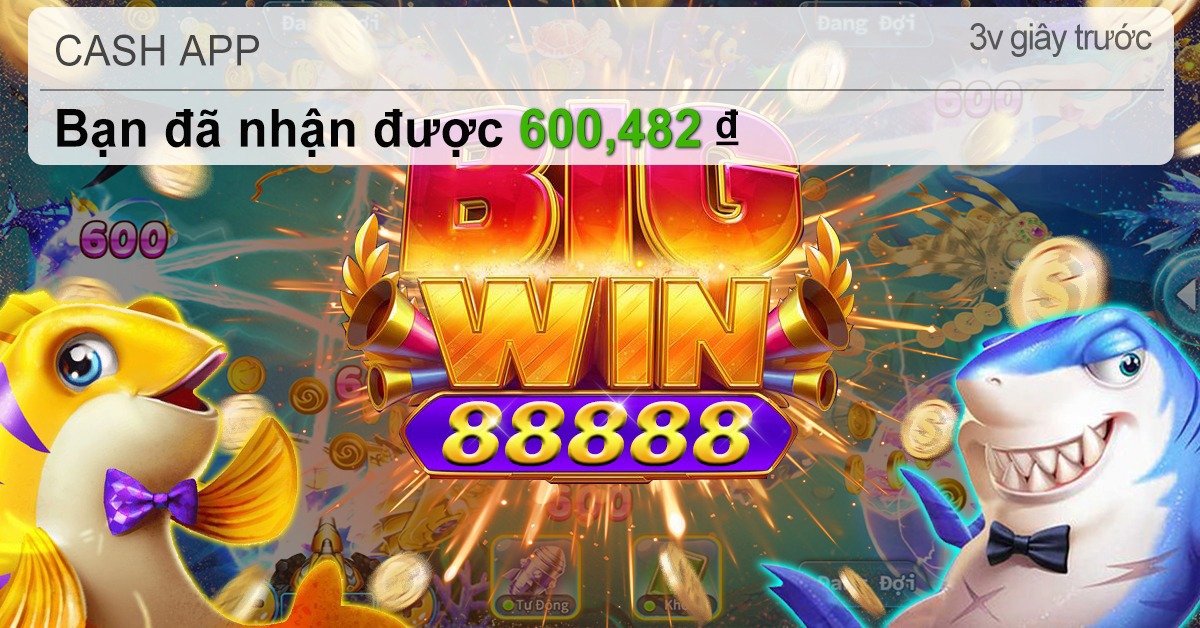 xs9988